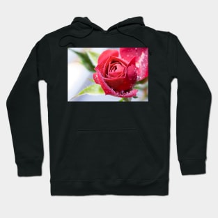 Red Rose Greeting Card Hoodie